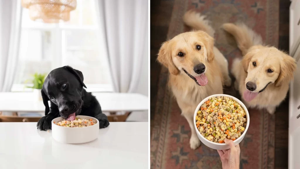 How to prepare homemade dog treats?插图1
