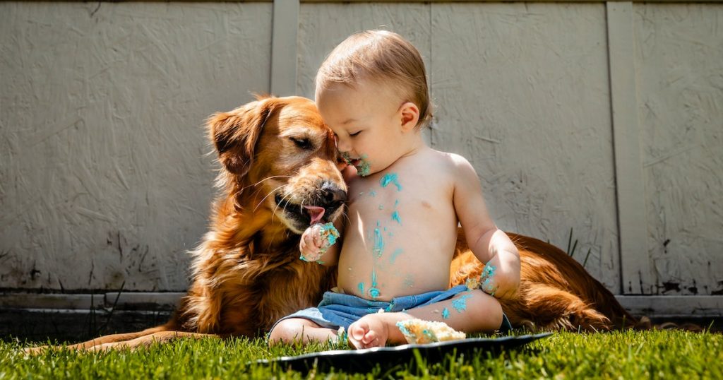 How to Teach Children to Be Gentle and Kind with Dogs?插图1