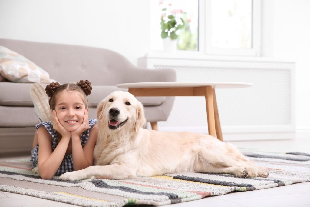 How to Introduce a Dog to Your Children: Tips and Advice?插图
