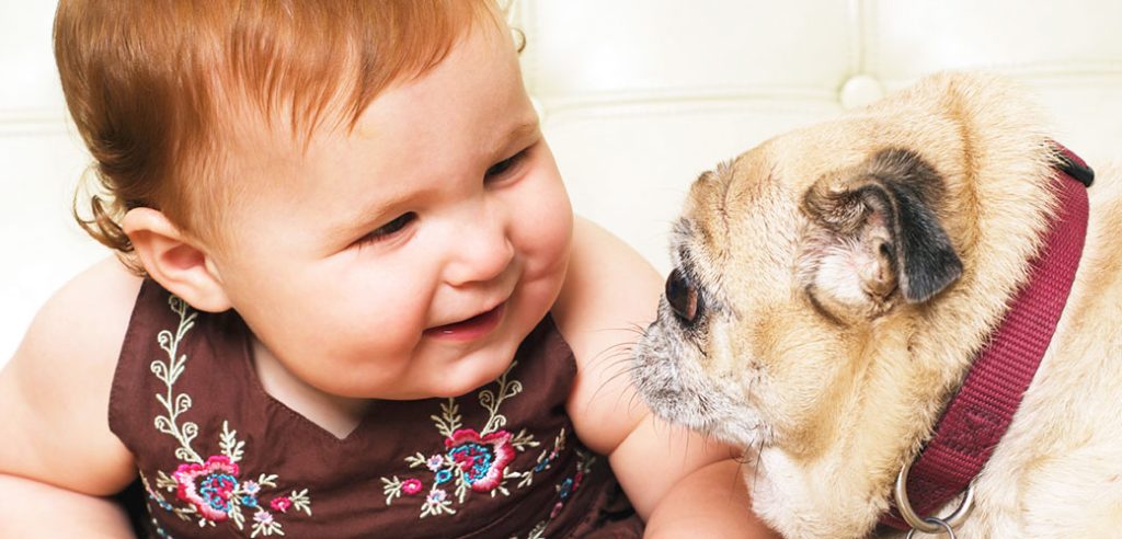How Dogs Help Develop Social Skills in Children?插图