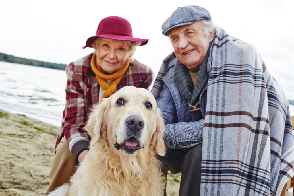 The Benefits of Companion Dogs for the Elderly插图