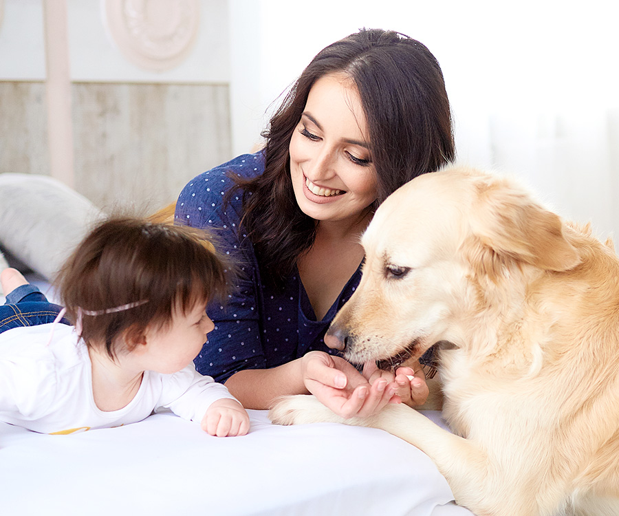 How Dogs Help Develop Social Skills in Children?插图1