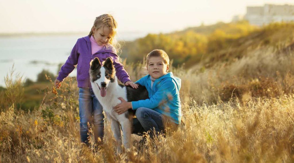 How Dogs Help Develop Social Skills in Children?插图2
