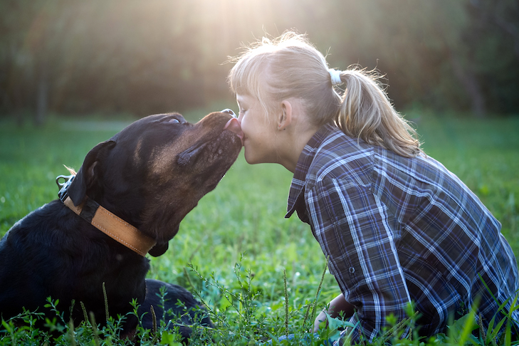 The Positive Impact of Dogs on Children’s Emotional Well-being插图