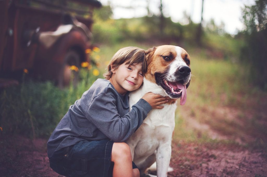 The Positive Impact of Dogs on Children’s Emotional Well-being插图1