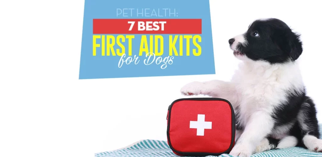 Puppy first aid kit插图2