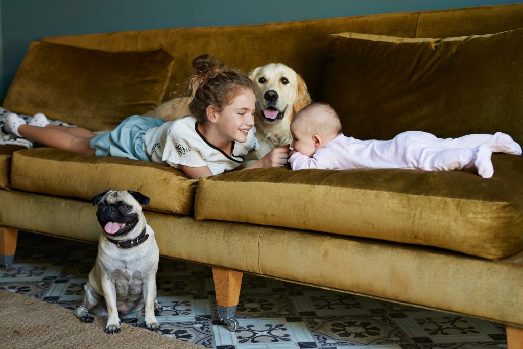 The Positive Impact of Dogs on Children’s Emotional Well-being插图2