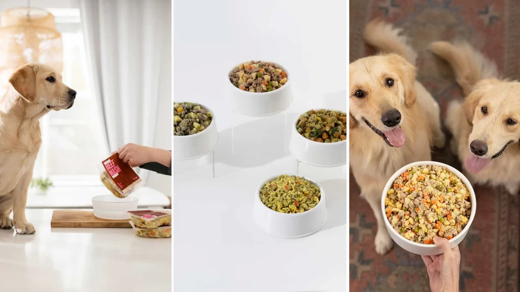 Puppy Food and Nutrition Plan: A Comprehensive Guide插图1