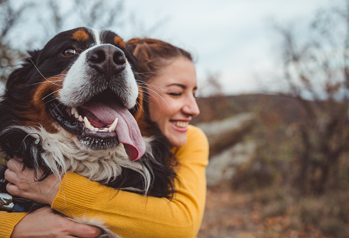 Exploring Bear Dog Russia: A Unique and Powerful Canine Companion插图9