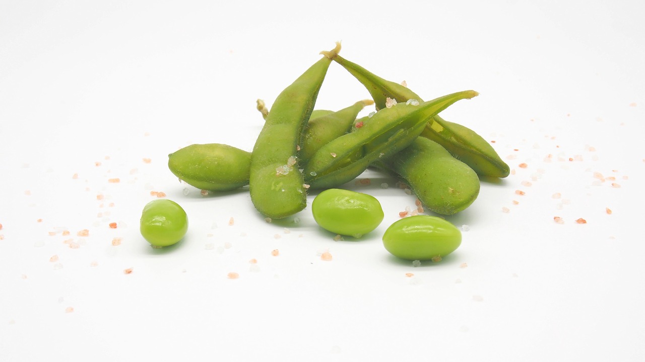 Can Dogs Eat Edamame? Exploring the Benefits and Risks插图1