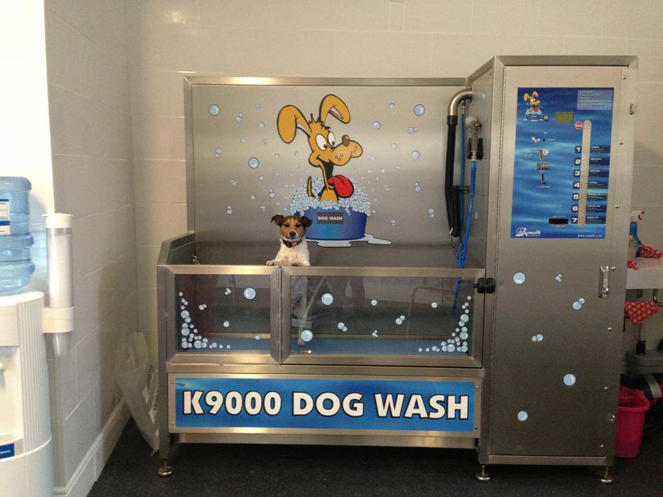 self service dog wash