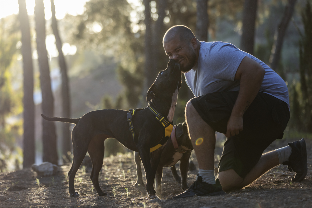 how to become a  service dog trainer