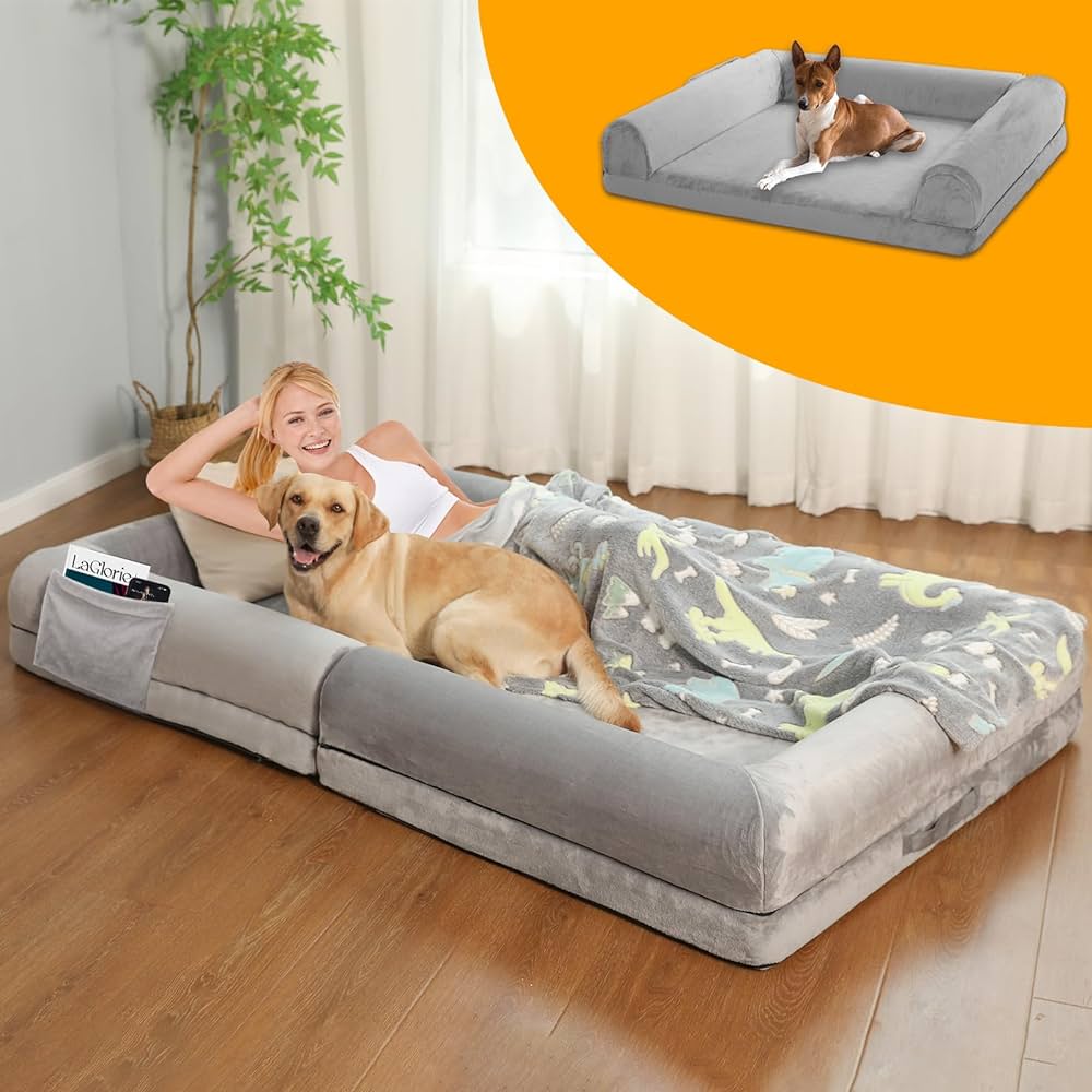 human sized dog bed