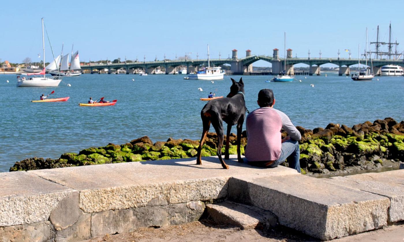 dog boarding st augustine