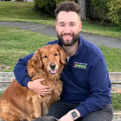 gold star dog training