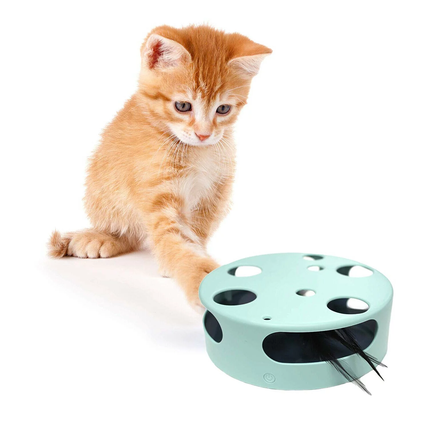 interactive cat toy