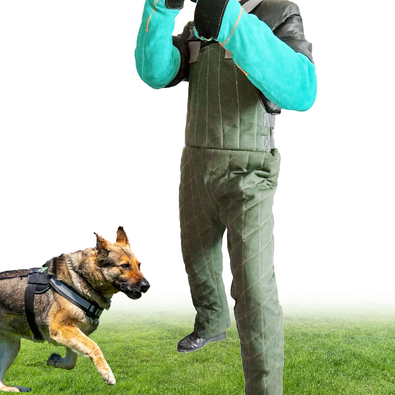 The Dog Training Suit: Protection, Purpose, and Alternatives插图