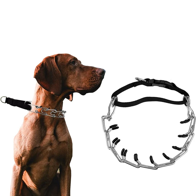 Dog Prong Training Collars: A Comprehensive Guide插图4