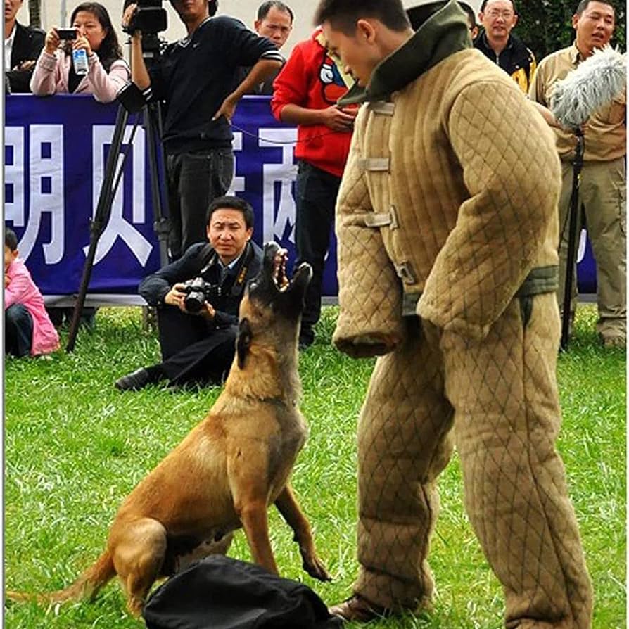 dog training suit