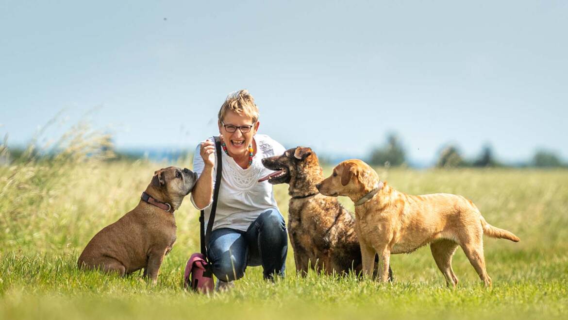 pack leader dog training