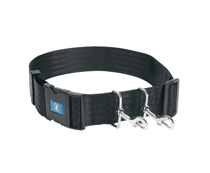 dog training belt