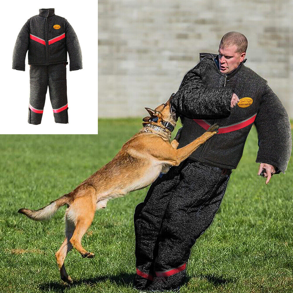 attack dog training suit