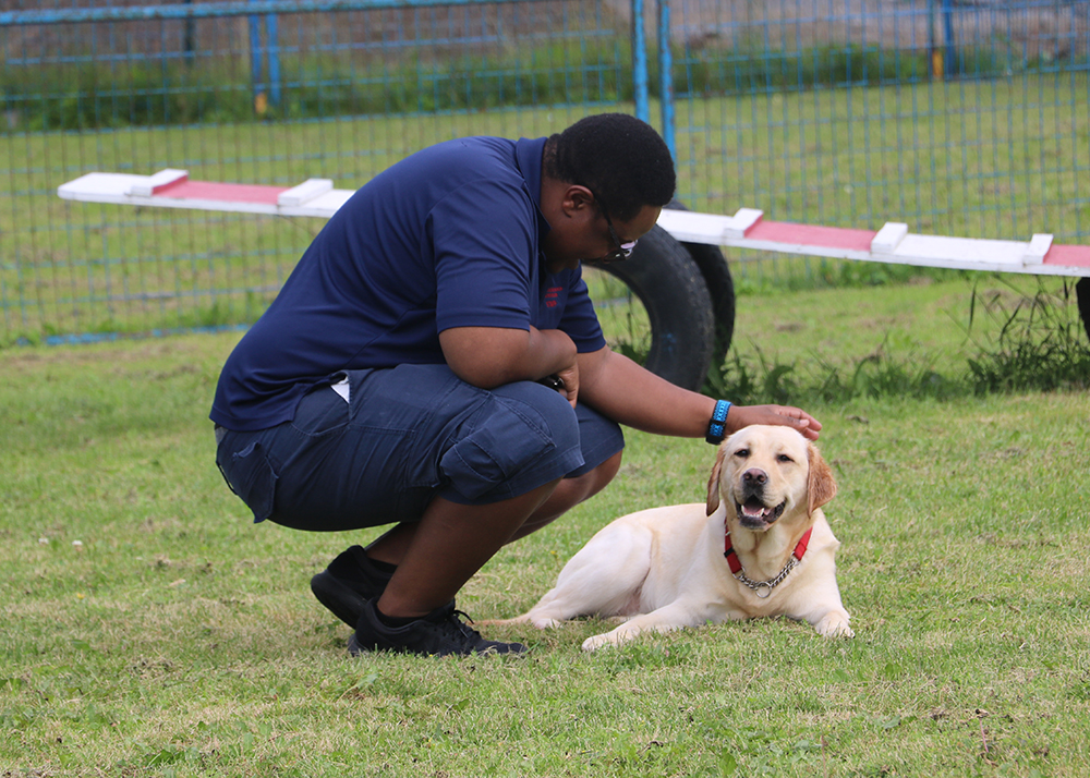 dog training apprenticeship