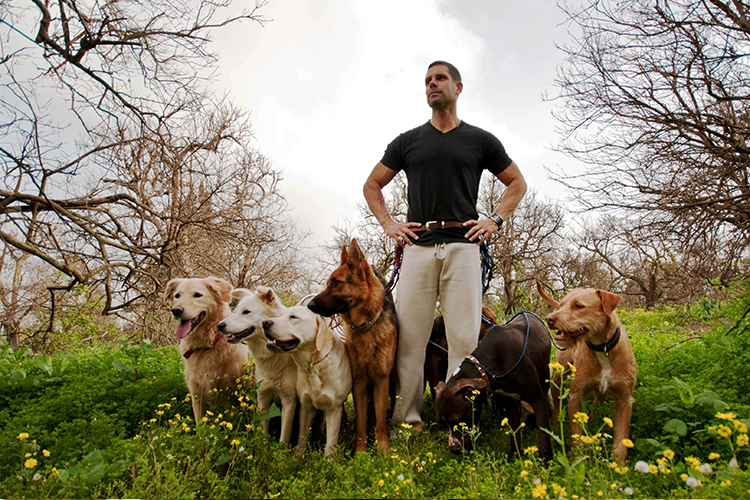 dog trainer apprentice