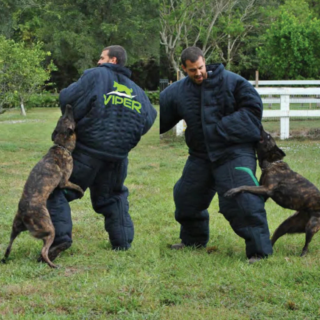 attack dog training suit