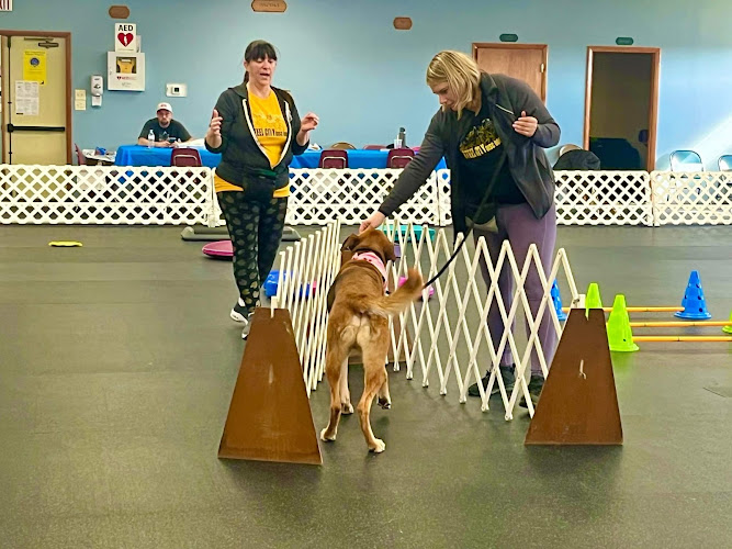 harmony dog training