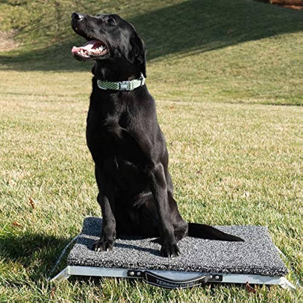 placeboard training for dogs