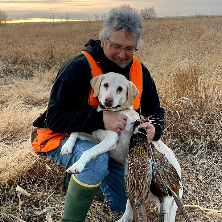 upland dog training