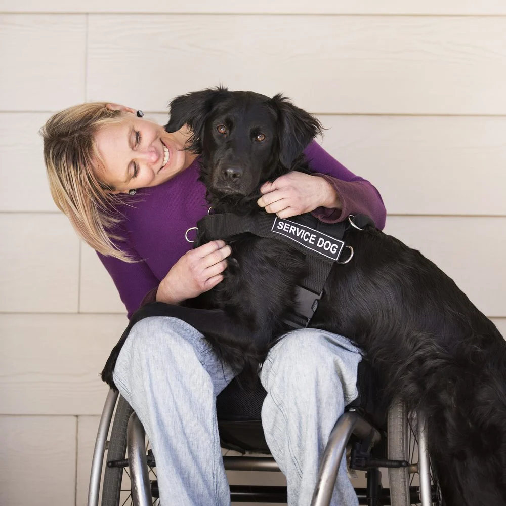 service dog training