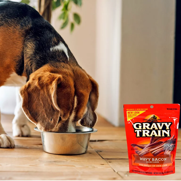 gravy train dry dog food