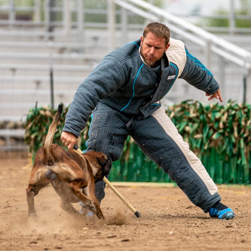 guard dog training cost