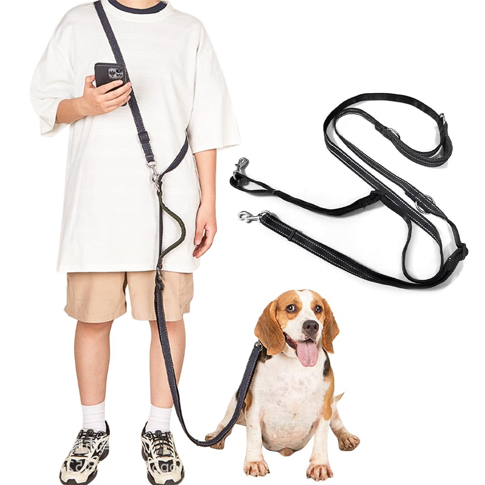 dog leash with traffic handle