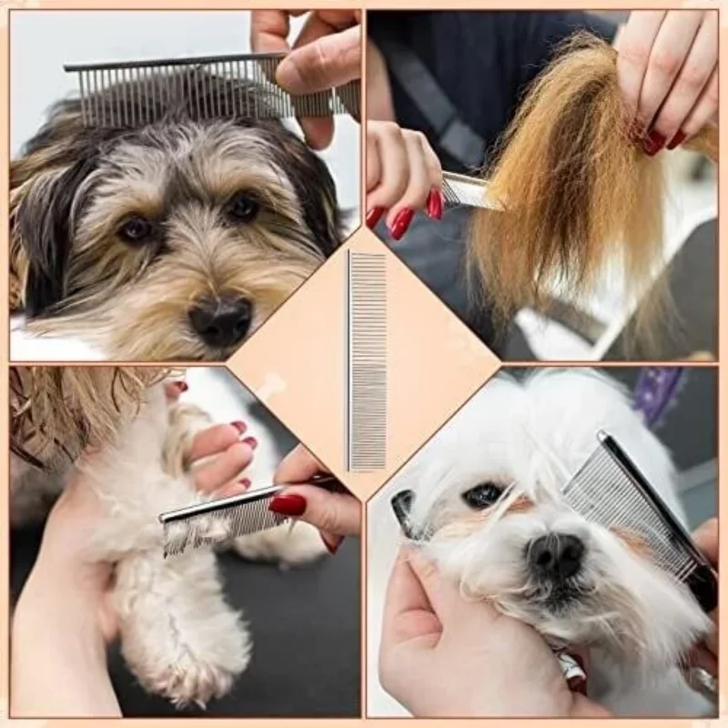 shaggy dog grooming