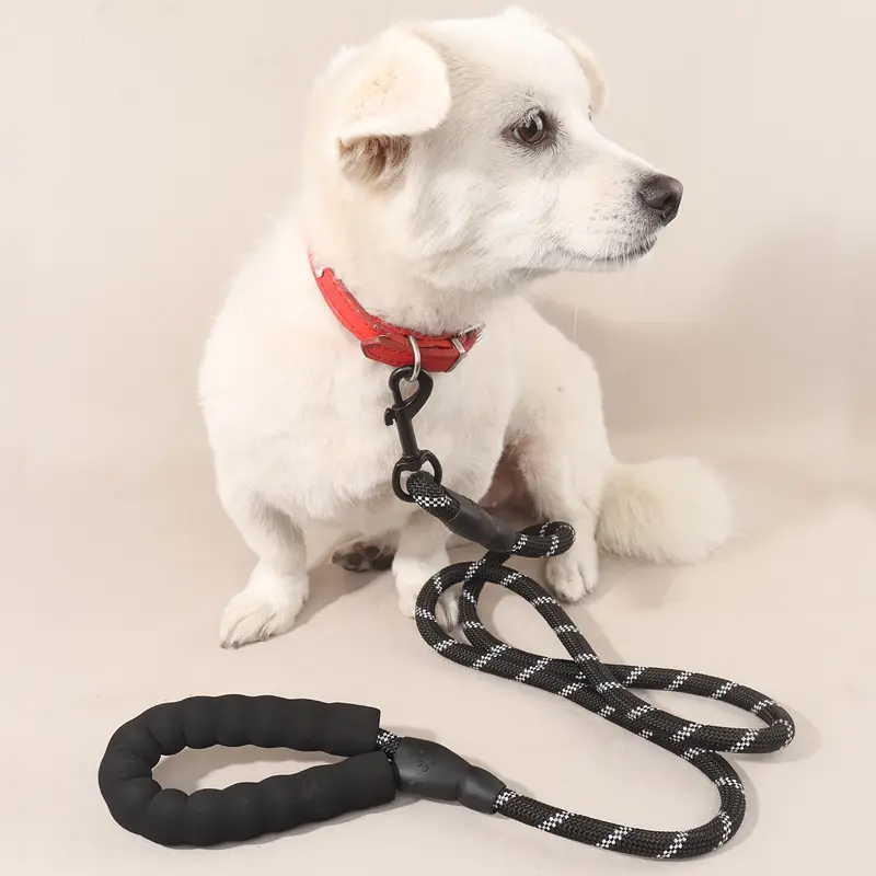 dog leash with traffic handle