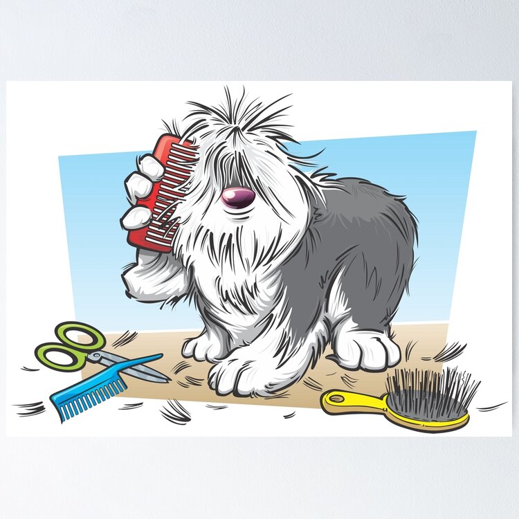 shaggy dog grooming