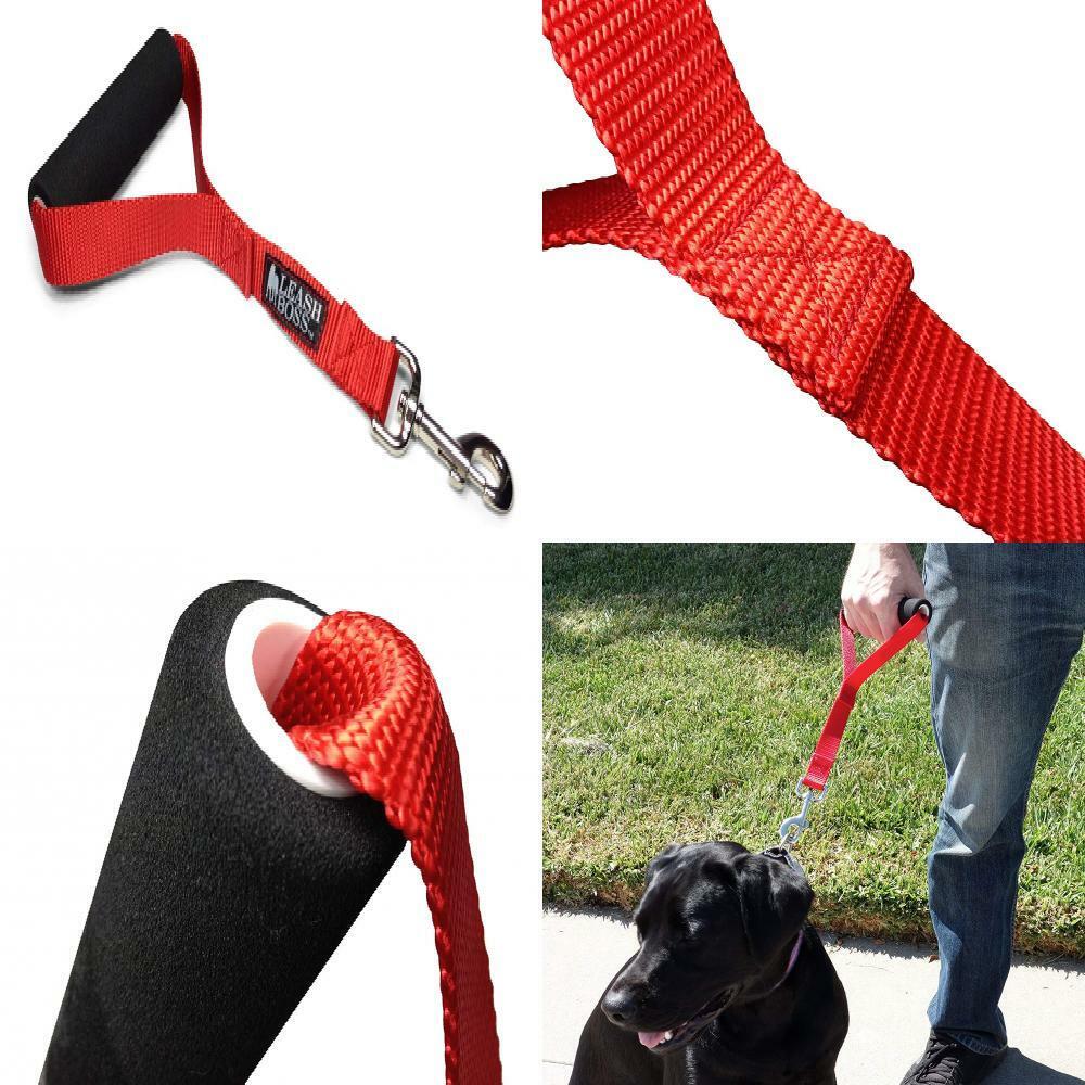 dog leash