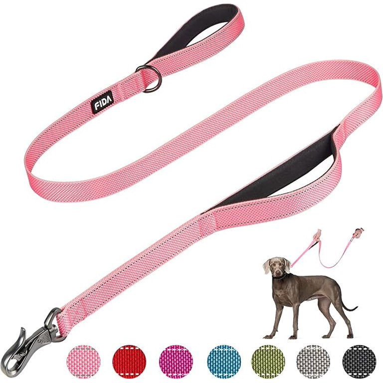 dog leash