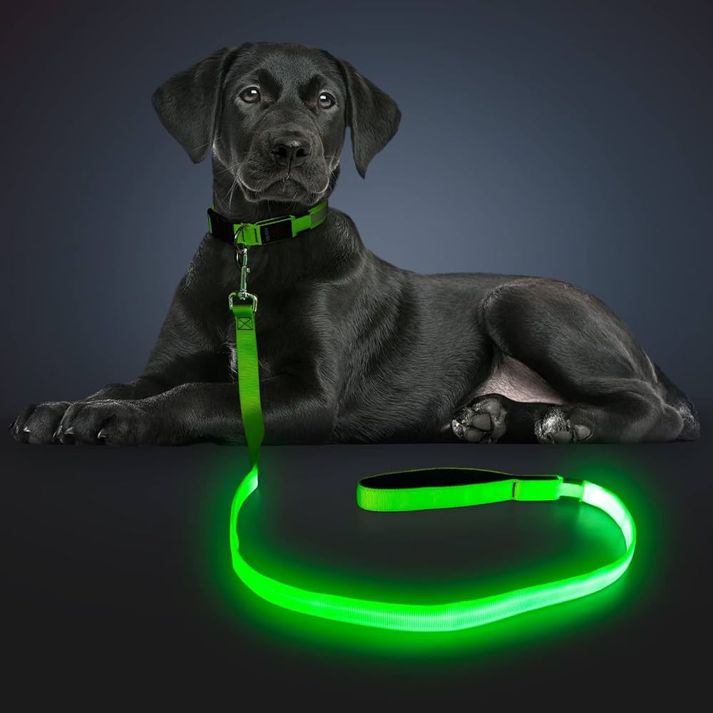 dog leash with light