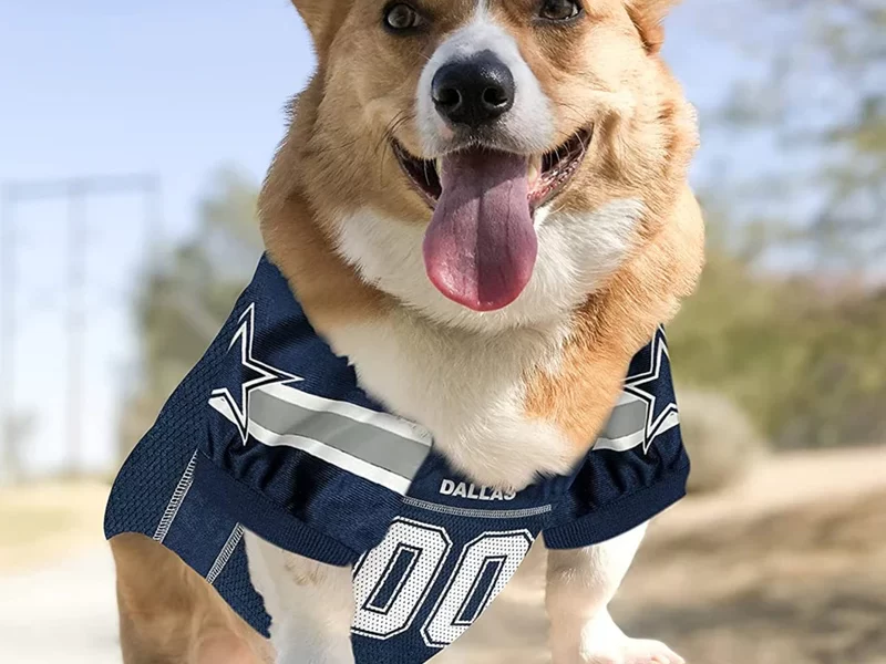 dallas cowboys dog leash