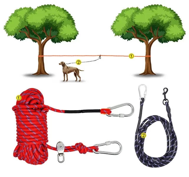 camping dog leash