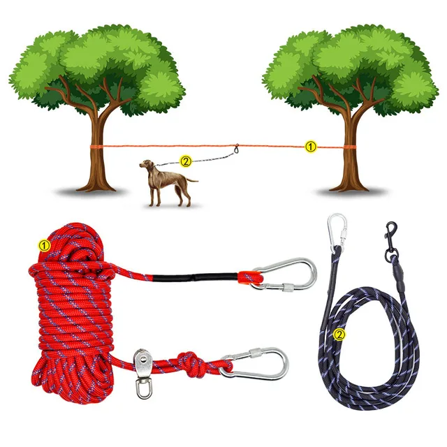 camping dog leash