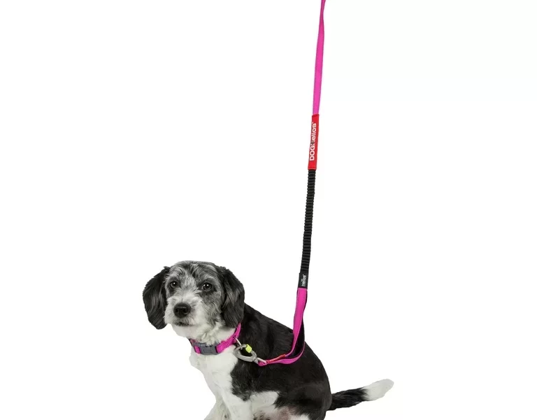 indestructible dog leash