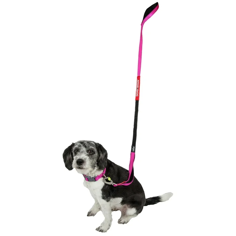 indestructible dog leash