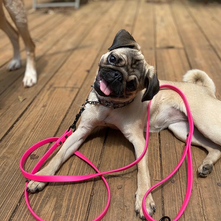 jim hodges dog leash