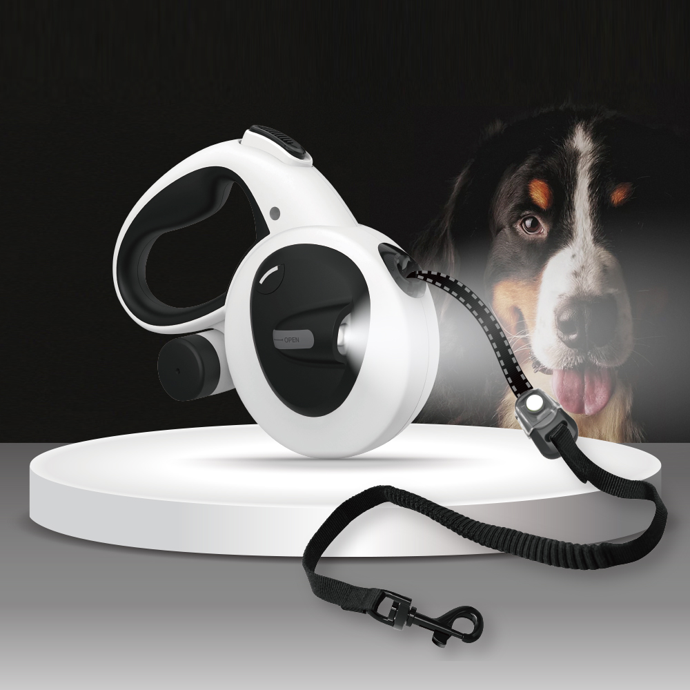 dog leash with light