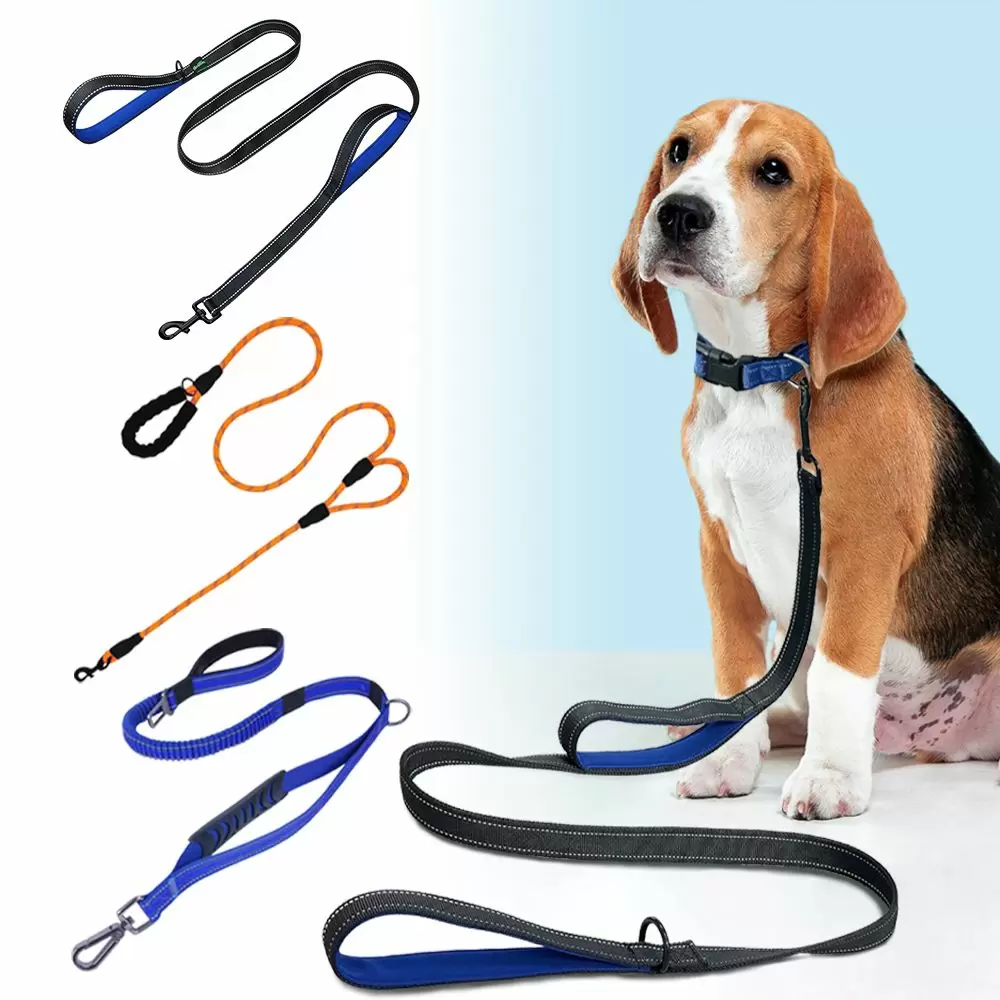 dog leash with two handles